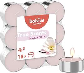 Bolsius – 18 Teelichter – Magnolie –