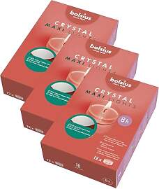 bolsius – Maxi XL Teelichter Clear Cup
