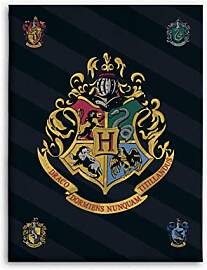 BrandMac Harry Potter Fleece-Decke 100x140