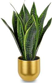 Briful Künstliche Sansevieria Zimmerpflanze