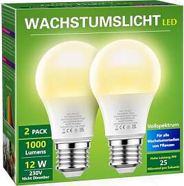 Briignite Die Glühbirne leuchtet. Eine