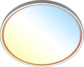 BRILONER - LED Deckenlampe mit Fernbedienung,