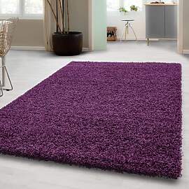 Carpetsale24 Shaggy Hochflor Teppich 120x170 cm