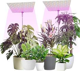 Carreuty Pflanzenlampe, 2 Stück 356 LEDs