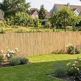 casa.pro Schilfrohrmatte Abbateggio Schilfmatte