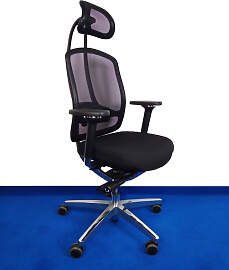 Chefsessel Bürostuhl Wagner Alu Medic 10 KS Netz