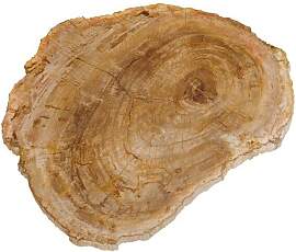 Chehoma Schneidebrett Holz beige, quadratisch,