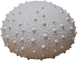 Chehoma Tischlampe aus weisser Keramik, E27, 1