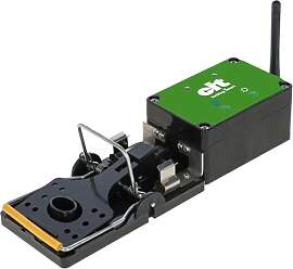 cit Rattenfalle ratStop Smart, schwarz/grün, 27 x 