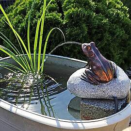 CLGarden Set Frosch Wasserspeier NSP10 Teichfigur