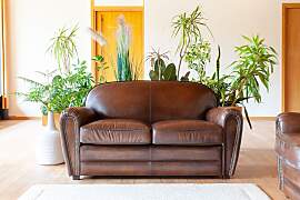 Club-Sofa für 2 Personen aus rehbraunem Leder