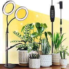 COKOLILA Neueste 168 LED 12V2A Pflanzenlampe LED