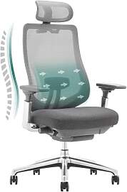 COLAMY XK Atlas Ergonomischer Netz-Bürostuhl,