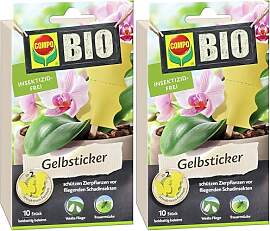 COMPO Bio Gelbsticker, Leimfalle, Ideal als