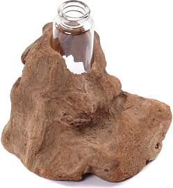 CREEDWOOD REAGENZGLAS VASE Yuma | Treibholz,