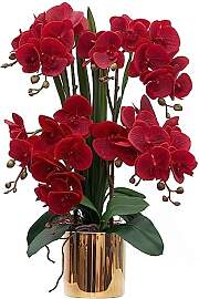 CXGS Künstliche Orchideen, Real Touch-Qualität,