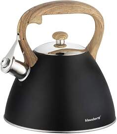 Czajnik (Schwarz)