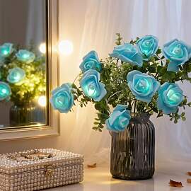 DAJASD LED Rosen Lichterkette, 1.5M 10 LED