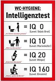 DankeDir! Intelligenztest - Kunststoff Schild 30 x 