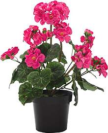 DARO DEKO künstliche Geranie pink 34cm stehend im 