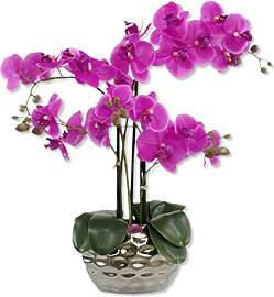 DARO DEKO Kunst-Pflanze Orchidee (ovaler Topf