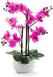 DARO DEKO Kunst-Pflanze Orchidee (ovaler Topf