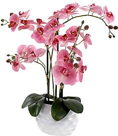 DARO DEKO Kunst-Pflanze Orchidee ovaler Topf weiß 