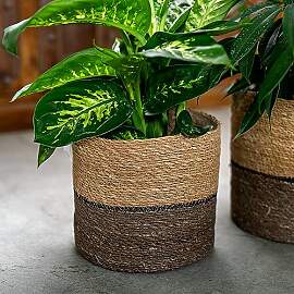 DARO DEKO Seegras Korb rund dreifarbig Ø 38 x 35