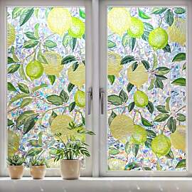 DARUITE Fensterfolie Blickdicht Regenbogen