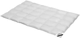 Daunen-Bettdecke orthowell Premium normal
