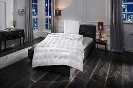 Daunenbettdecke + Federkissen OBB