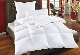 Daunenbettdecke + Federkissen OBB