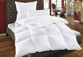 Daunenbettdecke + Federkissen OBB