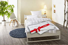 Daunenbettdecke FJÖDUR "Fabian 2für1,