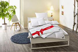 Daunenbettdecke FJÖDUR "Fabian 2für1,