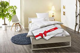 Daunenbettdecke FJÖDUR "Fabian 2für1,