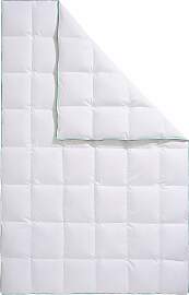 Daunenbettdecke FJÖDUR "Fee, Bettdecke