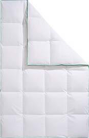 Daunenbettdecke FJÖDUR "Fee, Bettdecke