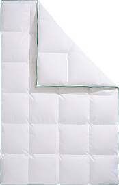 Daunenbettdecke FJÖDUR "Fee, Bettdecke