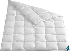 Daunenbettdecke HAEUSSLING "Kuscheltraum,
