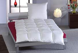 Daunenbettdecke HAEUSSLING "Swiss Royal,