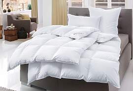 Daunenbettdecke + Kopfkissen HAEUSSLING