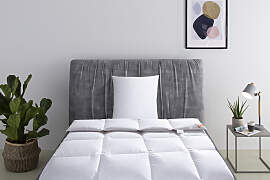 Daunenbettdecke + Kopfkissen RIBECO "Richard, 