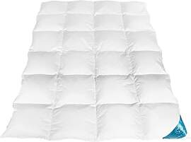 Daunendecke Winterdecke Extra Warm Daunen Decke