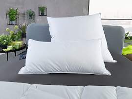 Daunenkissen HAEUSSLING "Häussling