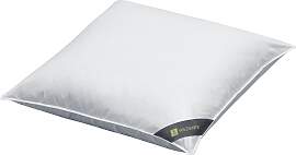 Daunenkissen SPESSARTTRAUM "Wildente",