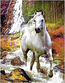 DCIDBEI Diamant Painting Bilder Erwachsene Pferde