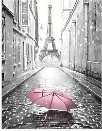 DCIDBEI Diamond Painting Eiffelturm Paris 40x50cm