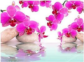 DCIDBEI Diamond Painting Orchidee Lila 50x40 cm