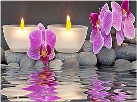 DCIDBEI Diamond Painting Orchideen 50x40cm Diamant 
